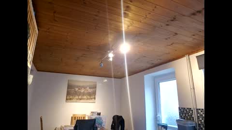 pete_le_meat online show from 03-12-26, 12:22