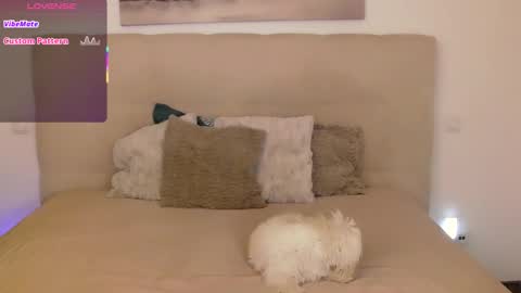 Peters Emily online show from 09-14-25, 10:20