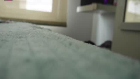 Pettercat online show from 01-05-25, 06:24