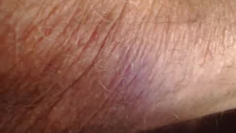 phil6369000 online show from 12-19-25, 04:47