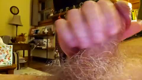 Phil online show from 12-17-24, 04:34