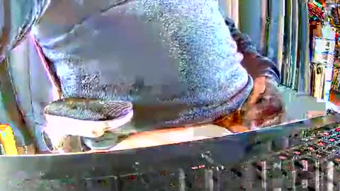 Gabu online show from 12-15-25, 09:46