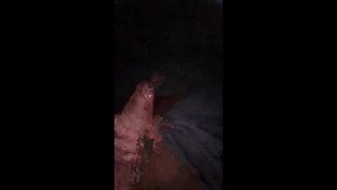 philllllll508346 online show from 12-21-25, 05:47