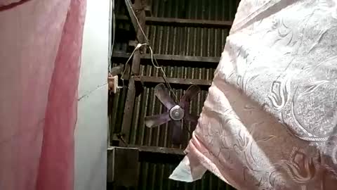 Snapshot of pinaybobs chatting on 03-02-26, 08:48 pinaybobs online show from 03-02-26, 08:48