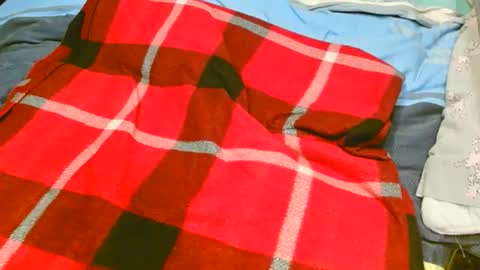 pinewoodman online show from 11-10-25, 07:07