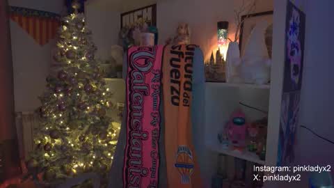 Snapshot of pinkladyx2 chatting on 11-22-25, 12:20 pinkladyx2 online show from 11-22-25, 12:20