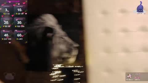 Pinky online show from 02-15-25, 08:01