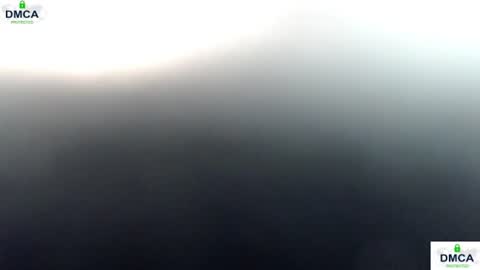 Bella online show from 07-14-26, 04:39