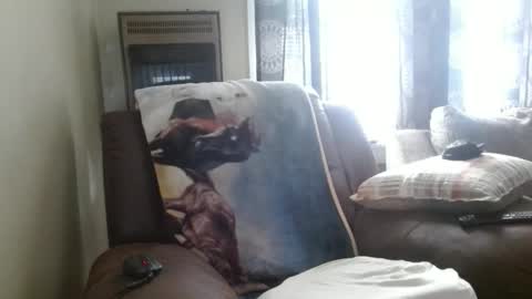 pirate334 online show from 02-03-26, 08:47