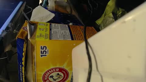 Pisanobear Daddy loose open HairyHole poppers toys online show from 02-07-26, 10:13