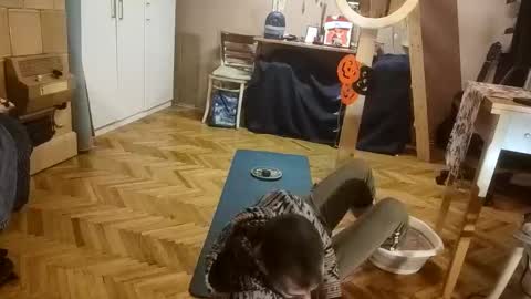 Dominik online show from 12-20-25, 12:56