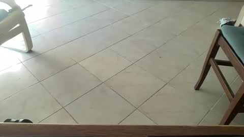 Snapshot of pisellone_xxl chatting on 09-19-25, 01:01 pisellone_xxl online show from 09-19-25, 01:01