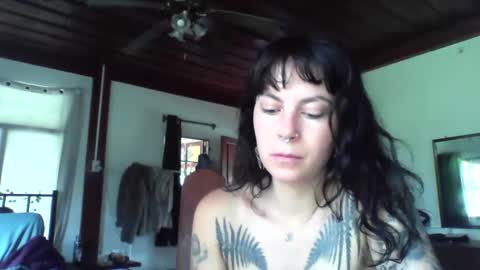 pixiecatfairy online show from 11-18-25, 03:01