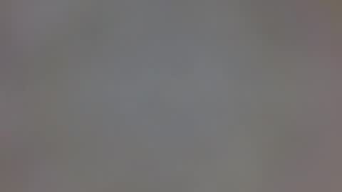 playboytit online show from 12-20-24, 09:43