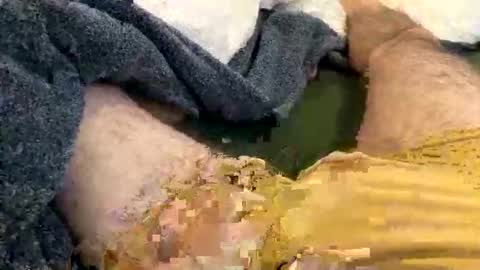 playful_hon online show from 02-01-26, 03:10