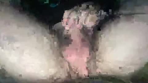 Snapshot of playwitityuh chatting on 09-27-25, 04:39 playwitityuh online show from 09-27-25, 04:39