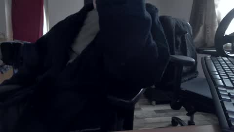 Snapshot of plboy23 chatting on 11-30-25, 09:35 Hello ask me . Im glad to see you here in my room. Welcome PVT is open online show from 11-30-25, 09:35