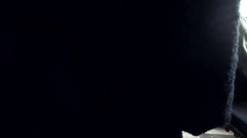 Snapshot of plboy23 chatting on 12-04-25, 12:03 Hello ask me . Im glad to see you here in my room. Welcome PVT is open online show from 12-04-25, 12:03