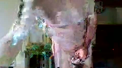 Snapshot of pluchet chatting on 05-07-26, 04:56 pluchet online show from 05-07-26, 04:56