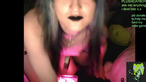 plushcatboy online show from 04-07-26, 04:24