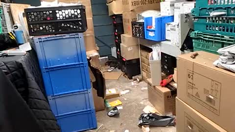 po13o online show from 10-29-25, 10:17