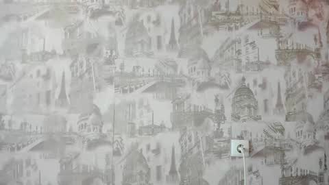 Snapshot of pocahontas654 chatting on 02-05-25, 04:16 Erica online show from 02-05-25, 04:16