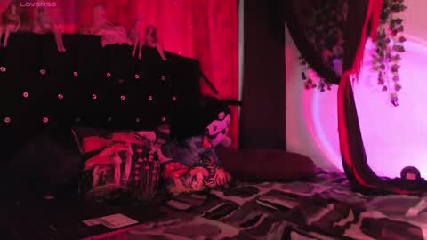 Snapshot of poison__luna chatting on 02-15-26, 12:47 Luna online show from 02-15-26, 12:47