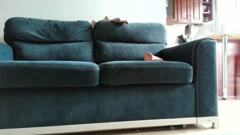 pokusss online show from 01-15-26, 01:05