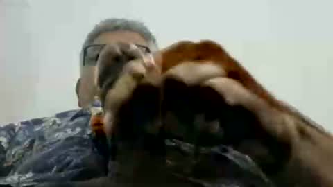 poli online show from 11-17-25, 02:56