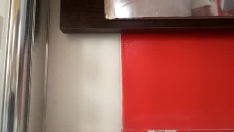 pollonmix online show from 09-11-25, 10:59