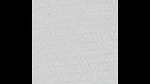 Polly online show from 03-12-25, 12:26