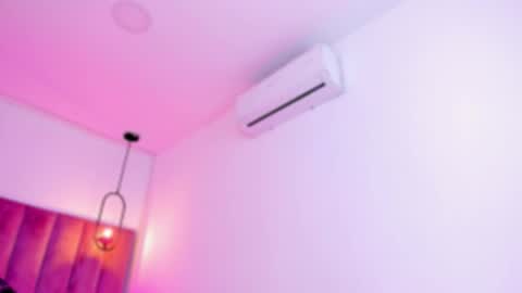 POLLY online show from 03-07-26, 10:12