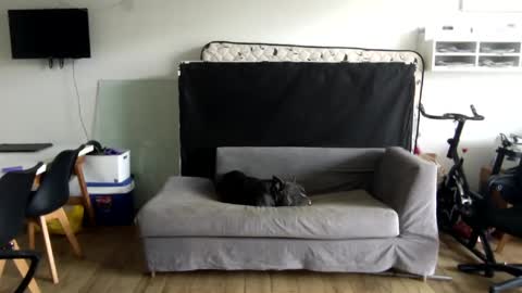 popopo0 online show from 01-28-25, 05:24