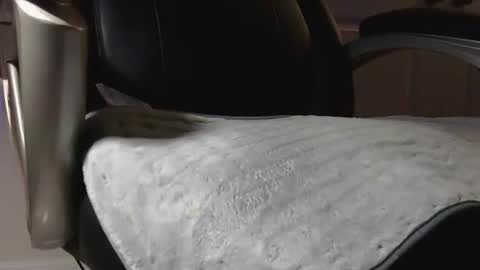 poppyntx online show from 02-20-26, 03:36