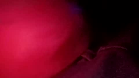 porkchop696974 online show from 02-20-26, 06:59