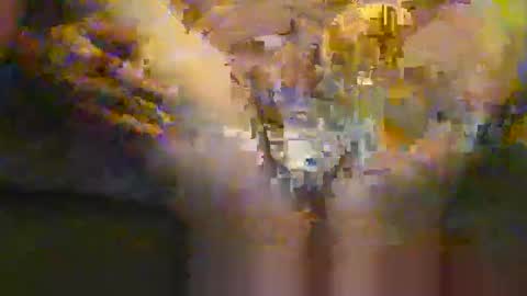 portal3444 online show from 11-30-25, 08:35