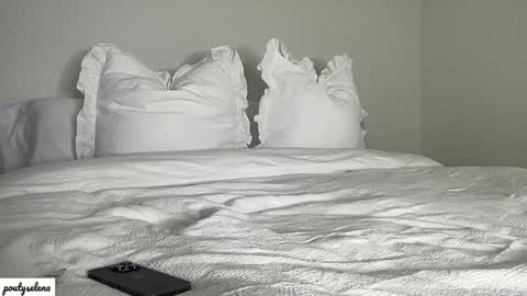 Selena online show from 01-27-25, 12:33