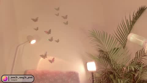 genie online show from 12-05-24, 10:01