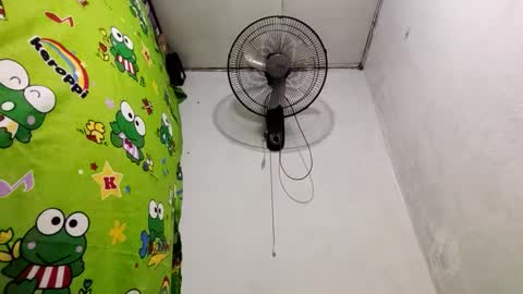 Dinah online show from 12-19-24, 09:06