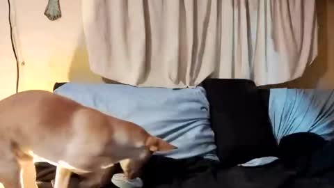 Prettyslangin69 FYPM online show from 02-26-25, 07:53