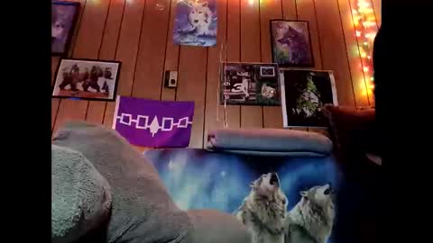 prettysolid7 online show from 02-09-26, 10:52