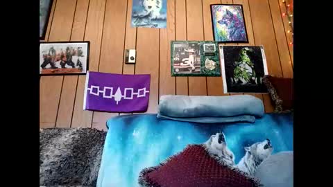 prettysolid7 online show from 03-01-26, 04:31