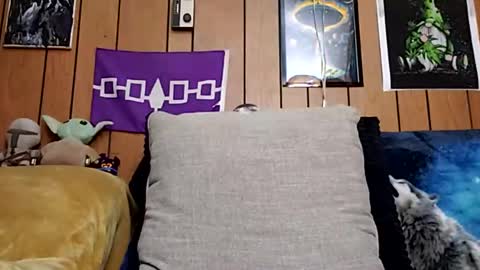 prettysolidd7 online show from 01-27-25, 10:06