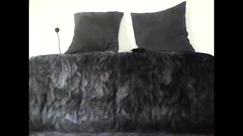 Don online show from 05-15-26, 02:24