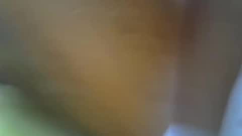 Princess online show from 11-17-25, 11:16