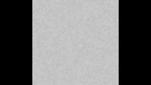 prostatepete online show from 02-01-26, 11:36