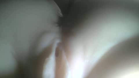 needtocum online show from 02-03-26, 12:42