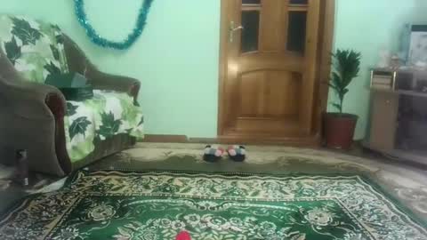 proud sweet 21 online show from 01-03-25, 09:47