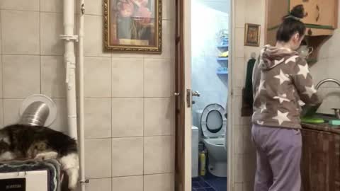 Snapshot of proud_sweet_21 chatting on 02-01-26, 11:47 proud sweet 21 online show from 02-01-26, 11:47