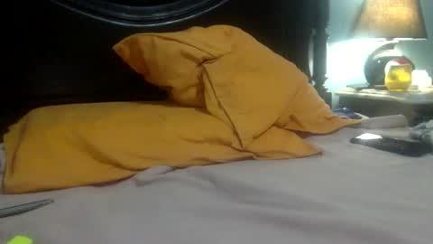 Snapshot of psy4alligators1 chatting on 05-30-26, 03:47 JustSexyguy online show from 05-30-26, 03:47